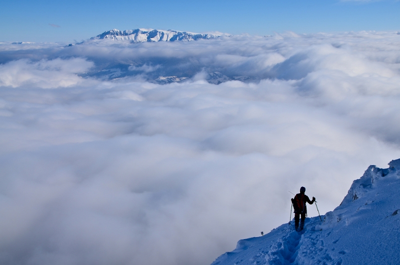 Sorin Untu -Între cer și pământ.jpg